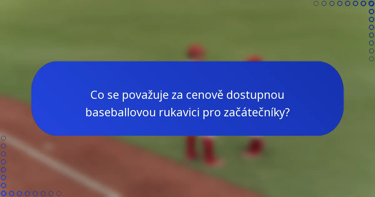 Co se považuje za cenově dostupnou baseballovou rukavici pro začátečníky?