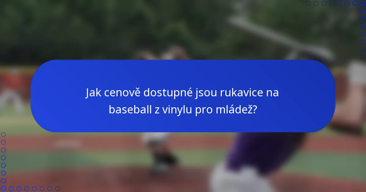 Jak cenově dostupné jsou rukavice na baseball z vinylu pro mládež?