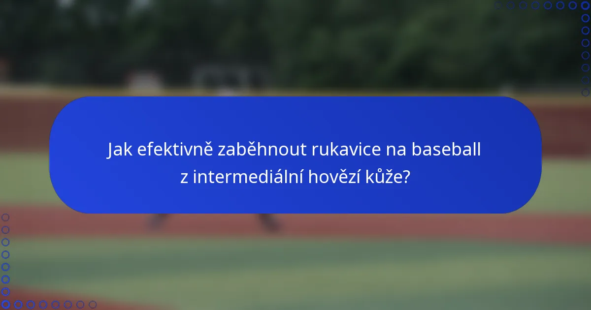 Jak efektivně zaběhnout rukavice na baseball z intermediální hovězí kůže?