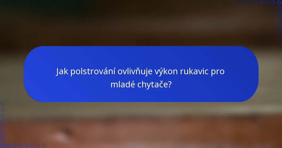 Jak polstrování ovlivňuje výkon rukavic pro mladé chytače?
