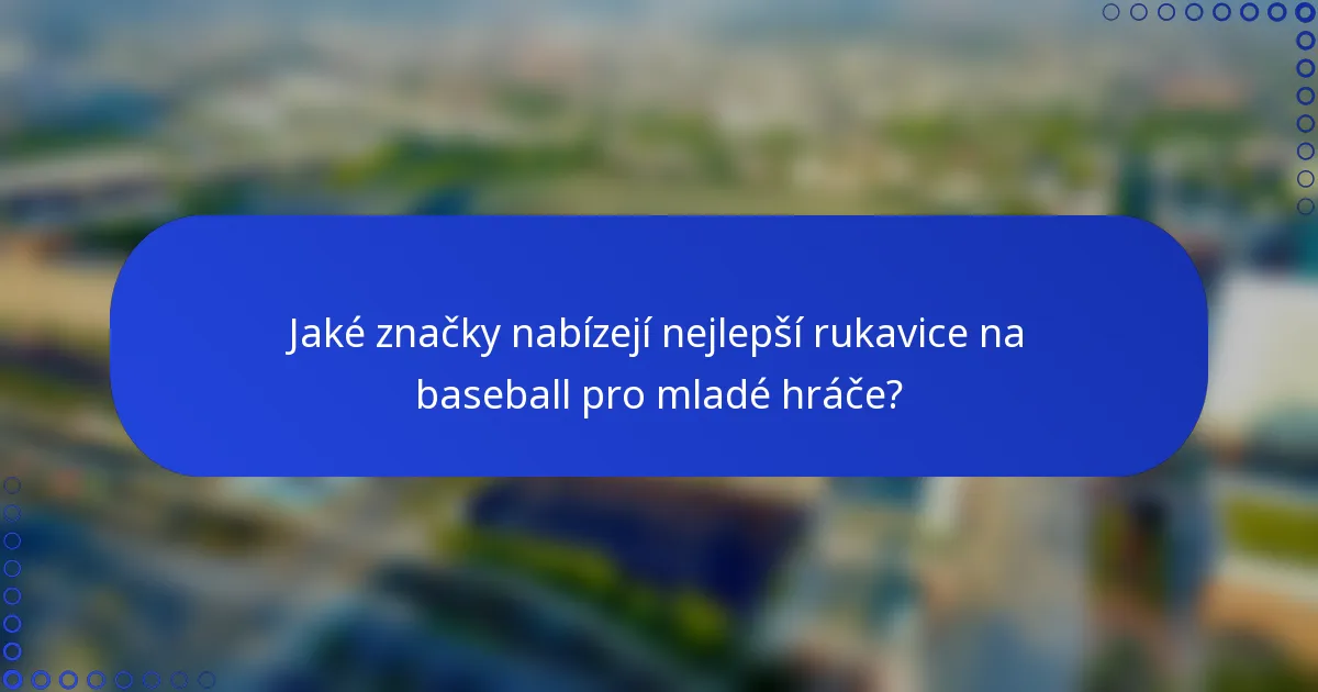 Jaké značky nabízejí nejlepší rukavice na baseball pro mladé hráče?