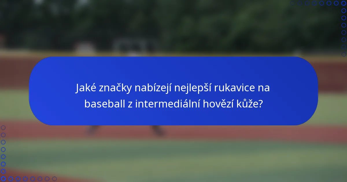 Jaké značky nabízejí nejlepší rukavice na baseball z intermediální hovězí kůže?