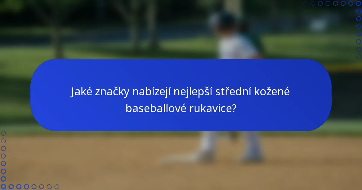 Jaké značky nabízejí nejlepší střední kožené baseballové rukavice?